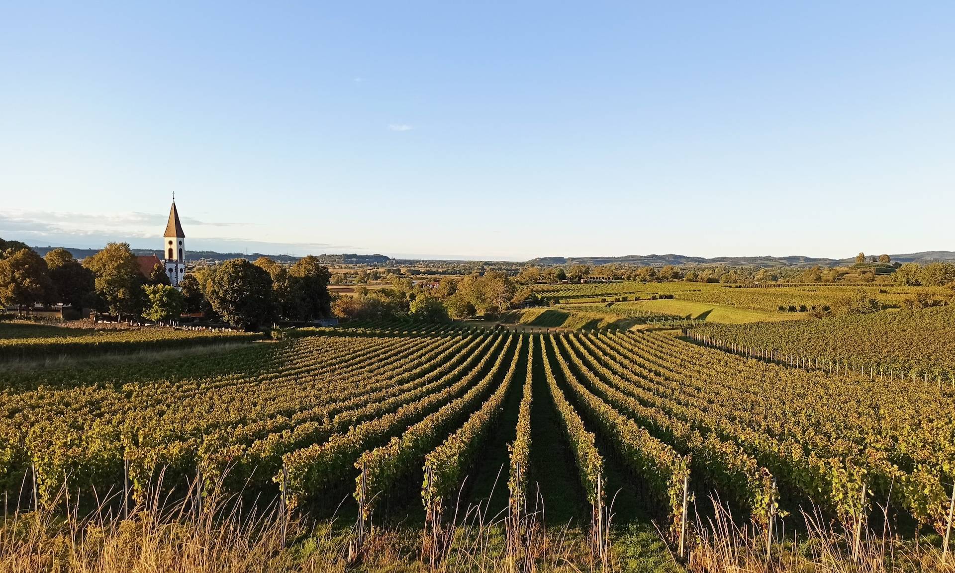 Bergkirche Nimburg im Sommer